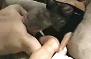 XXX Lotti apre la bellezza della video porno con mamme troie sua figa per un amico