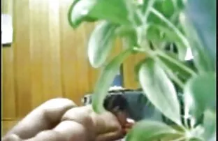 XXX Bella principessa in calze nere le mamme piu porche bottino cucinare